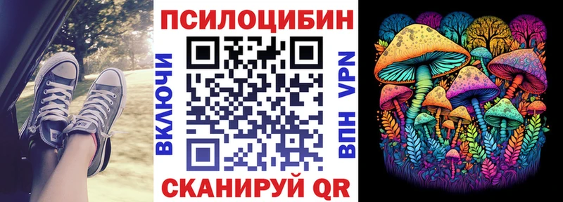 Псилоцибиновые грибы Psilocybe hydra зеркало Асино