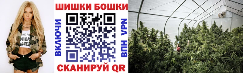 Канабис семена  Асино 